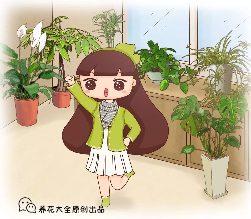 收藏 | 室內(nèi)養(yǎng)花，記住這5點(diǎn)，養(yǎng)活1000盆花