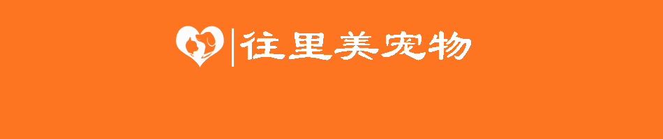 貓咪的發(fā)育階段與人類年齡的對比是怎樣的？