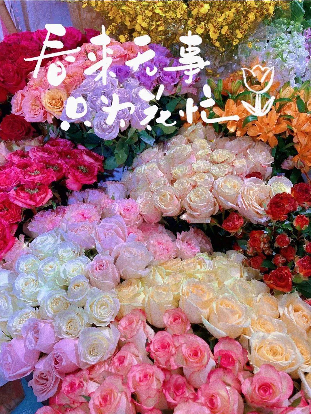 西安花卉市場_2021年西安花卉市場_西安花卉市場行情